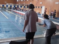 障害者アスリートマルチサポート事業水泳競技練習会・記録会の様子